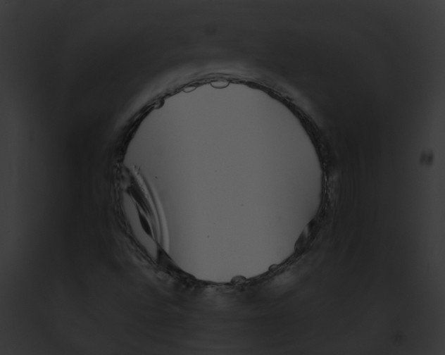 X0000091891496200710031131