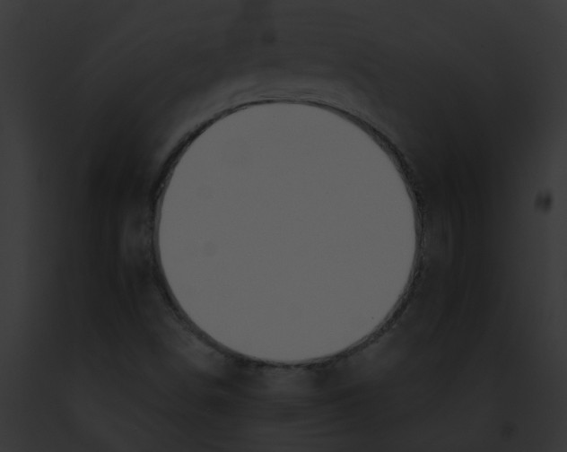 X0000091891498200710031131