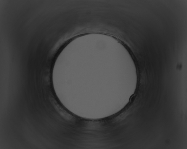 X0000091891499200710031131