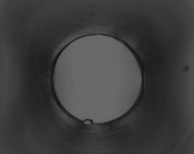 X0000091891500200710031131