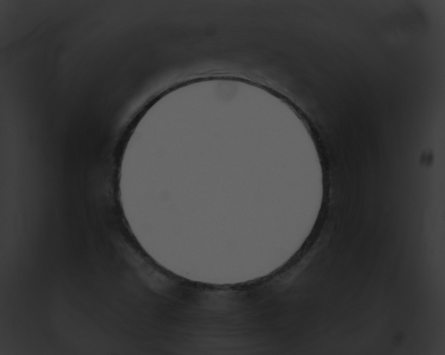 X0000091891502200710031131