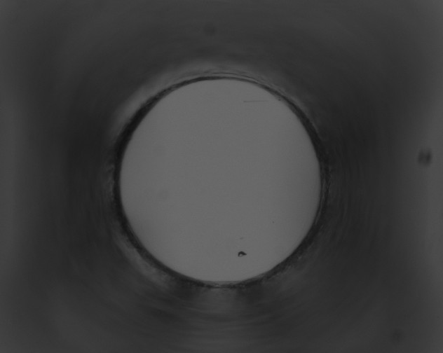 X0000091891503200710031131