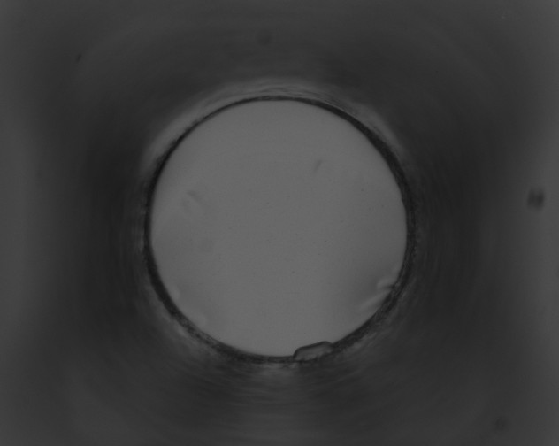 X0000091891504200710031131