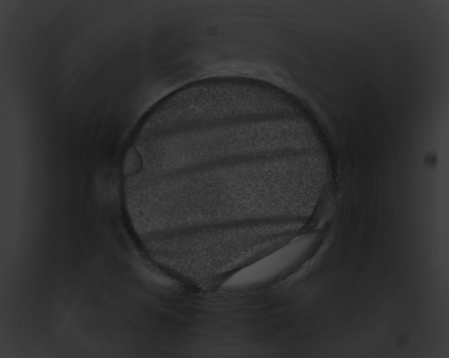 X0000091891505200710031131