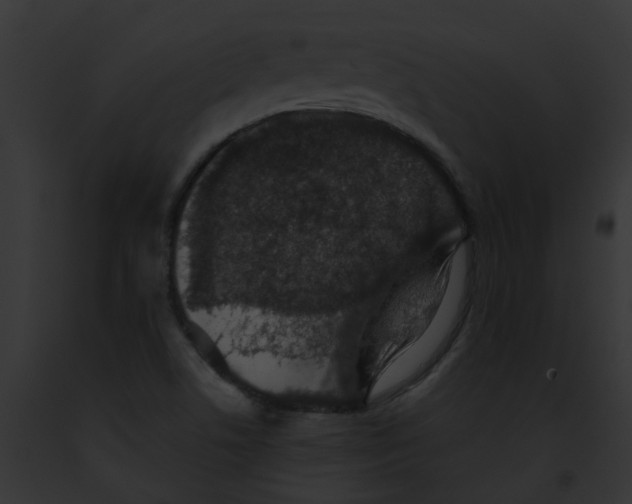X0000091891506200710031131