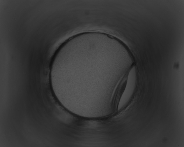 X0000091891507200710031131