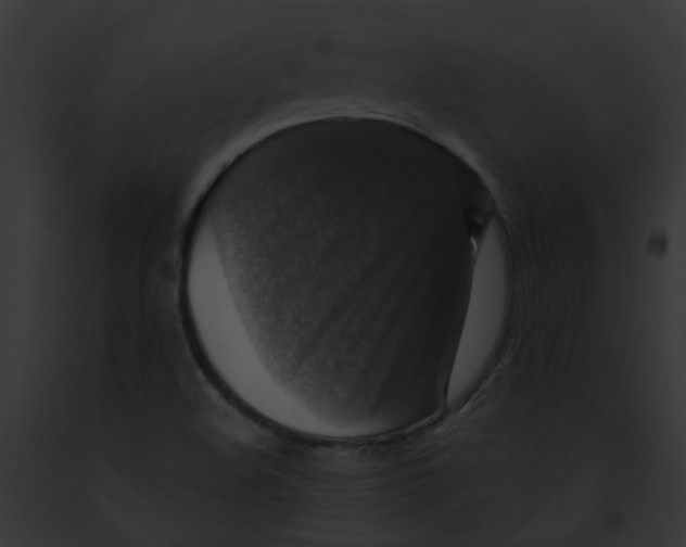 X0000091891508200710031131