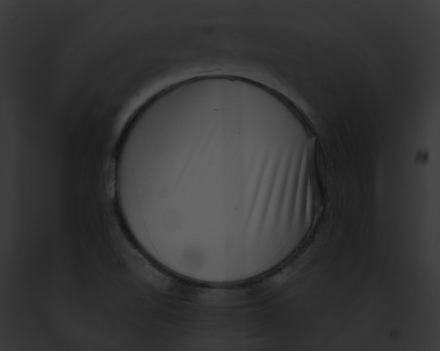 X0000091891510200710031131