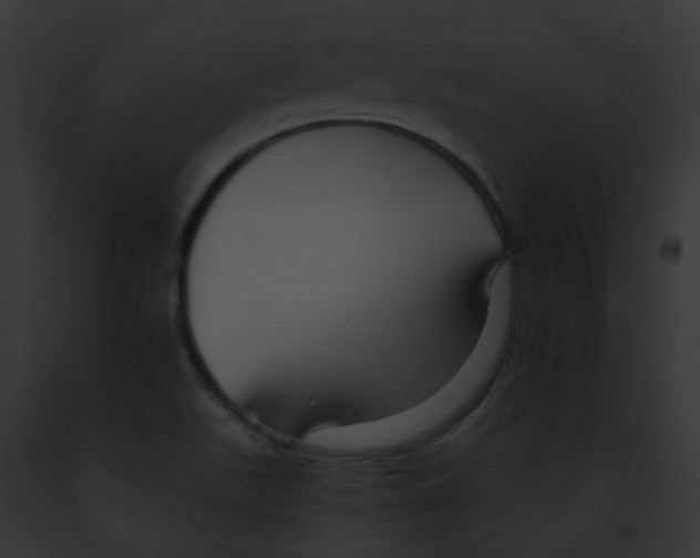 X0000091891511200710031131