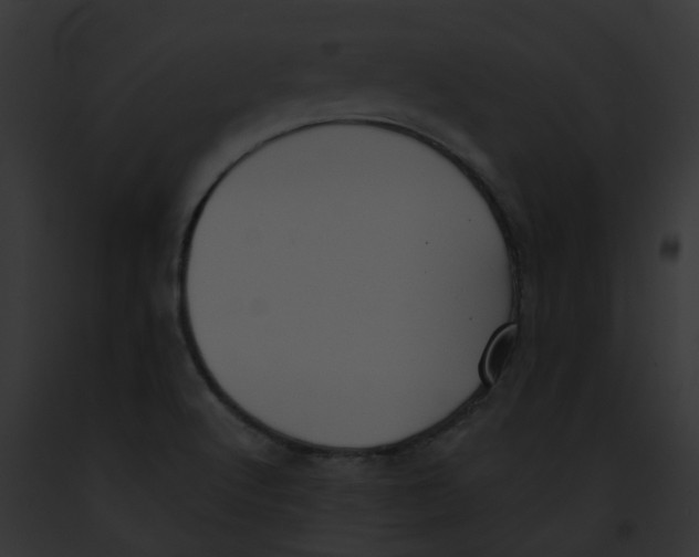 X0000091891512200710031131