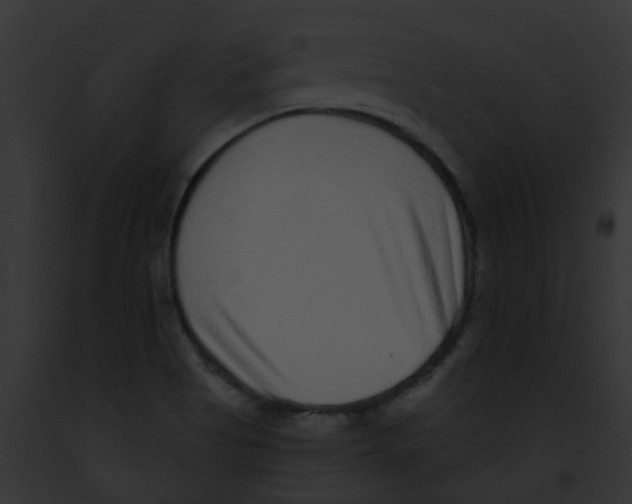 X0000091891513200710031131