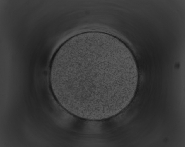 X0000091891514200710031131