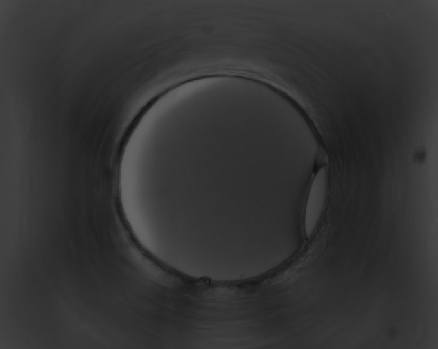 X0000091891515200710031131