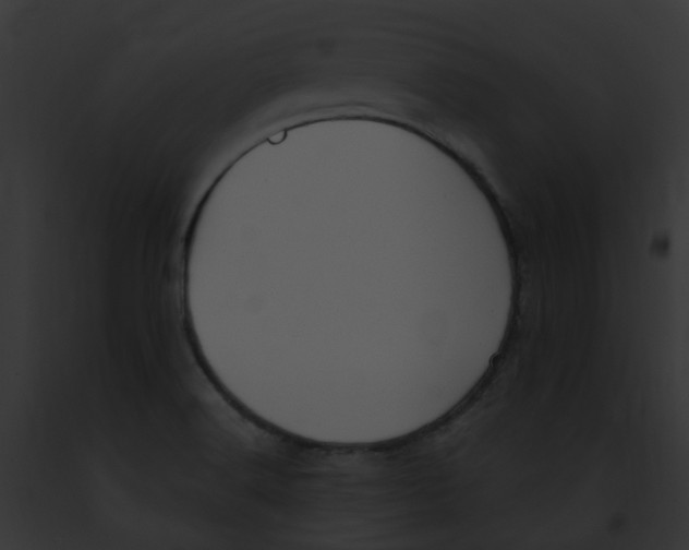X0000091891516200710031131