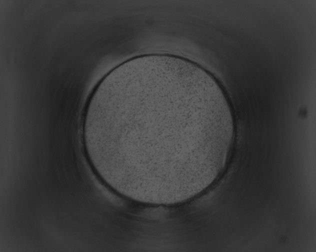 X0000091891517200710031131