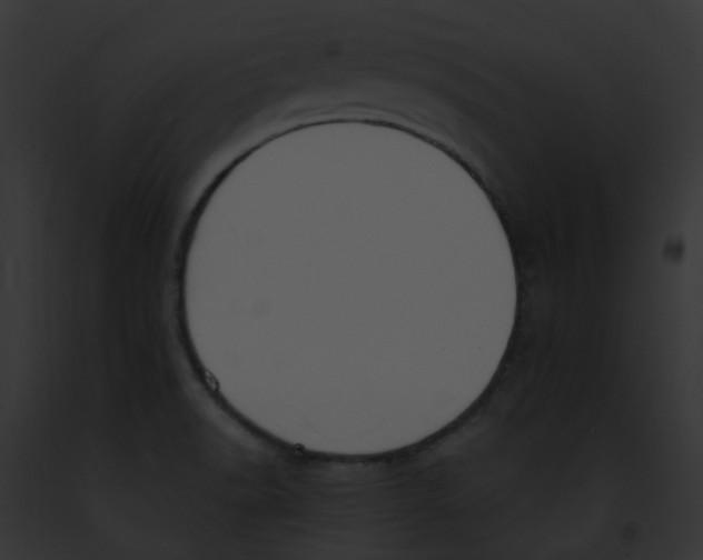X0000091891518200710031131