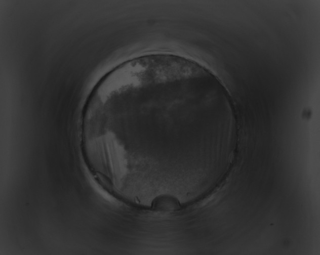 X0000091891519200710031131