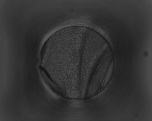 X0000091891520200710031131