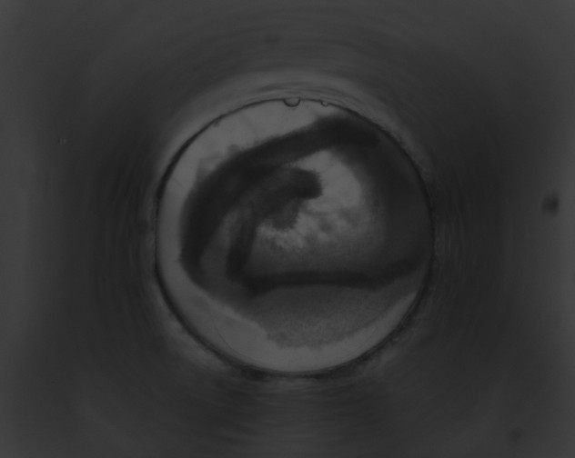 X0000091891522200710031131