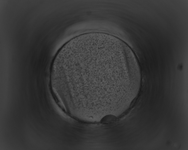 X0000091891523200710031131