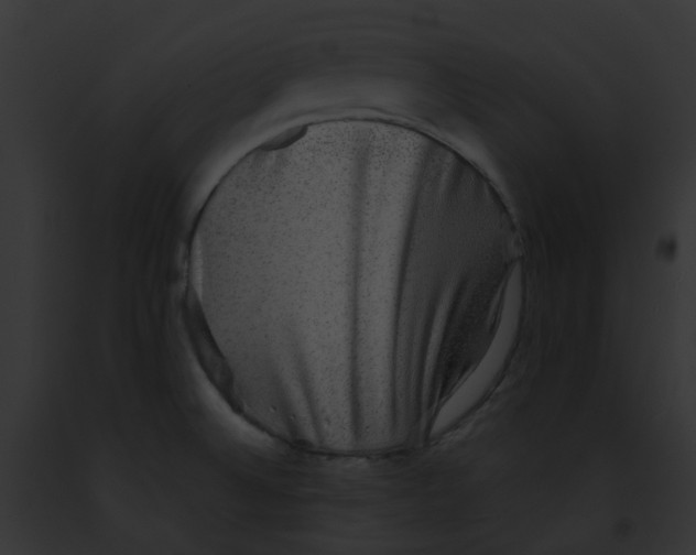 X0000091891524200710031131