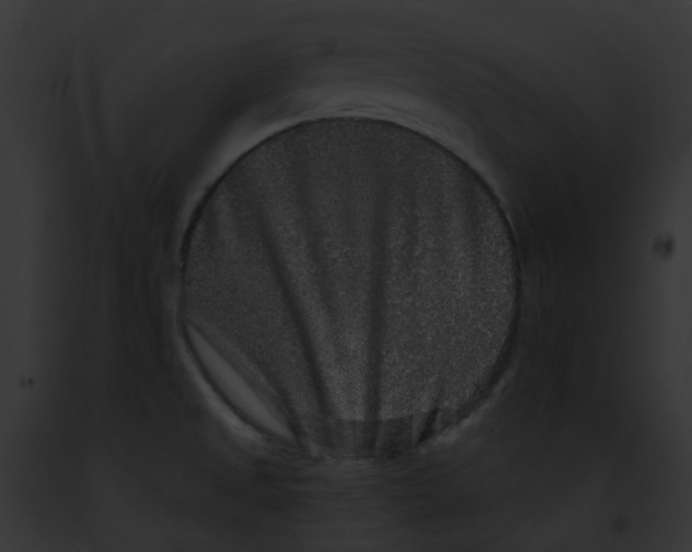 X0000091891525200710031131