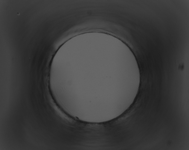 X0000091891526200710031131
