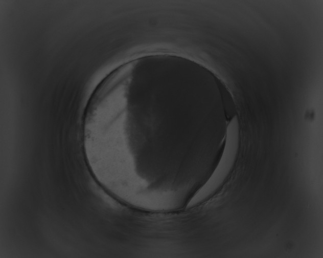 X0000091891527200710031131