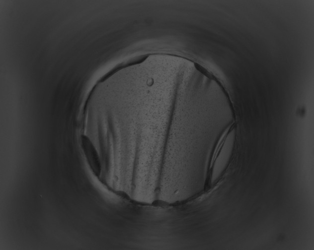 X0000091891528200710031131