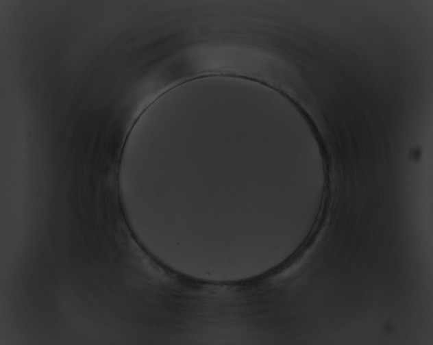 X0000091891529200710031131