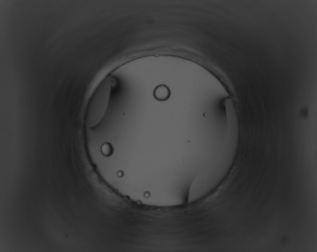 X0000091891530200710031131