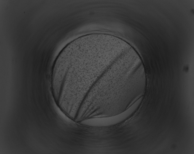 X0000091891531200710031131