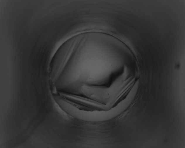 X0000091891532200710031131