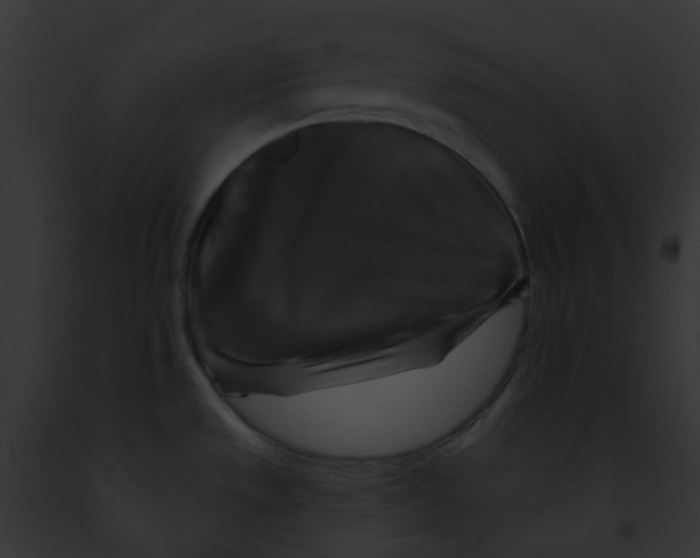X0000091891533200710031131