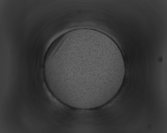 X0000091891534200710031131