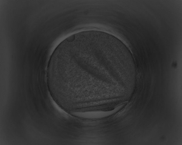 X0000091891535200710031131