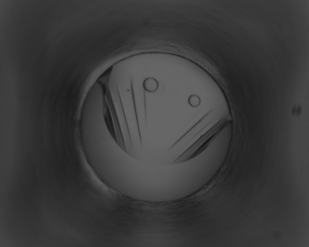 X0000091891536200710031131