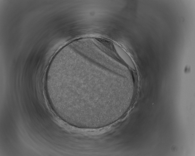 X0000091890001200710031812