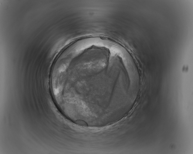 X0000091890002200710031812