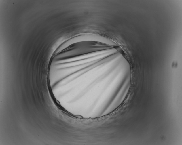 X0000091890003200710031812