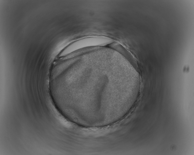 X0000091890005200710031812