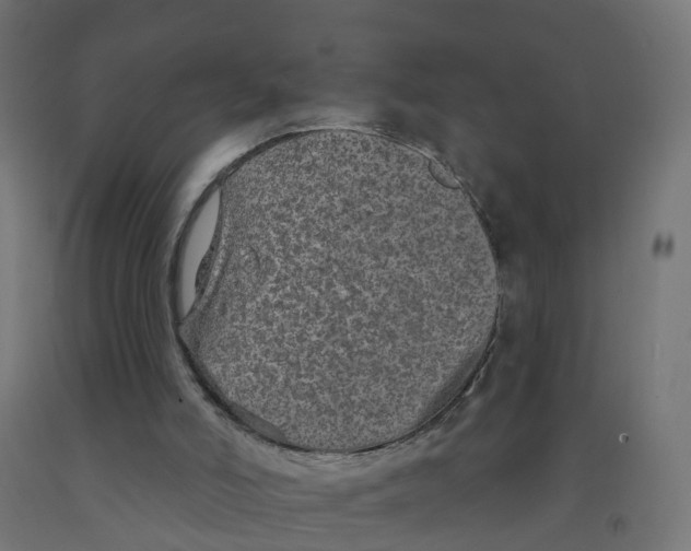 X0000091890006200710031812
