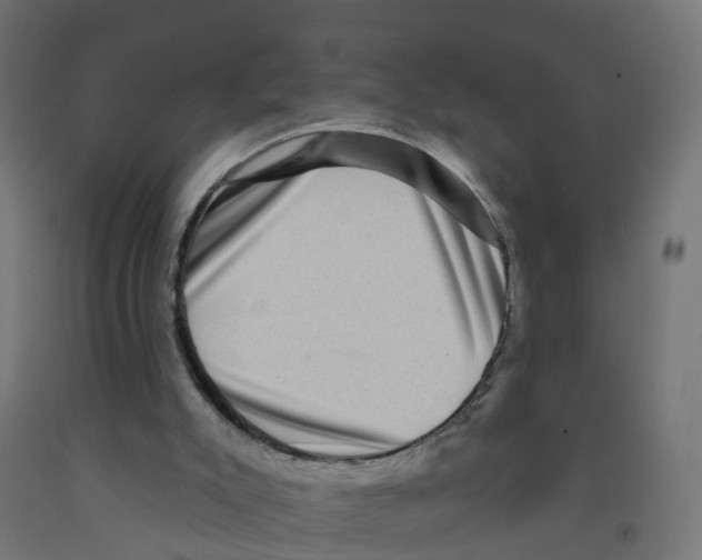 X0000091890007200710031812