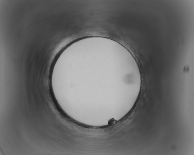 X0000091890008200710031812