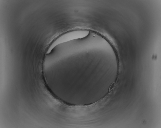 X0000091890009200710031811