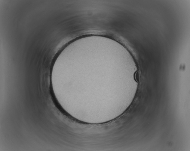 X0000091890011200710031811