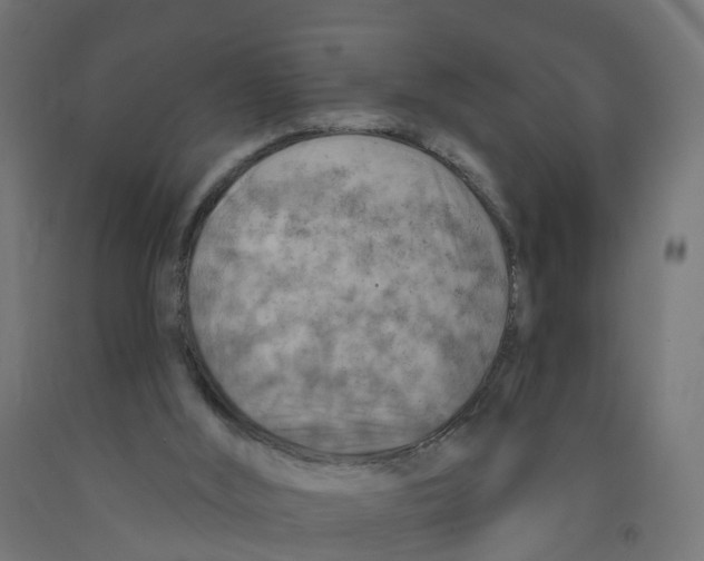 X0000091890012200710031811