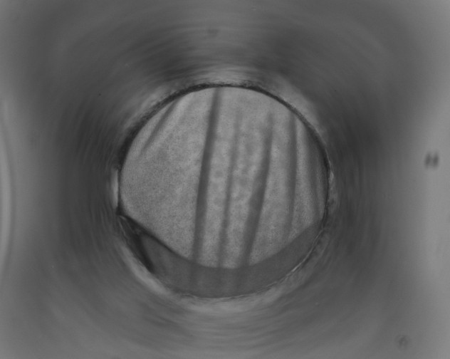 X0000091890013200710031811