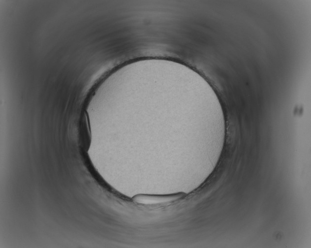 X0000091890015200710031811