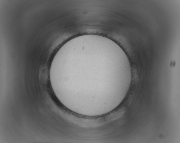 X0000091890016200710031811